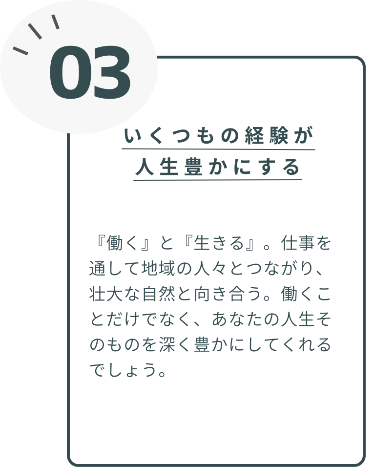 マルチワーク03